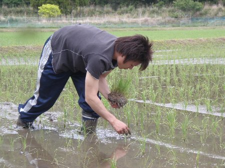 被災地に送るお米プロジェクト (4).JPG