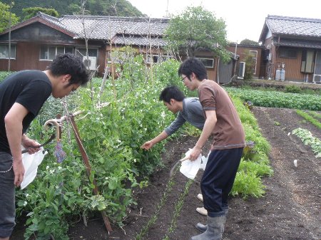 被災地に送るお米プロジェクト (6).JPG