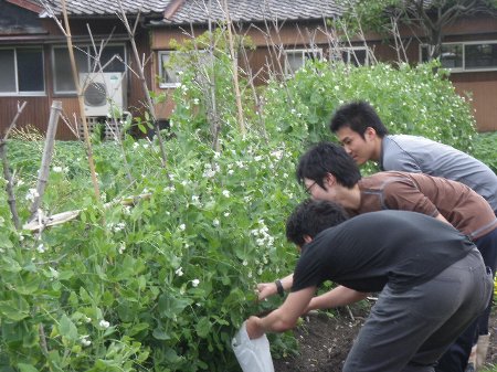 被災地に送るお米プロジェクト (7).JPG