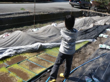 お手伝い (1).JPG