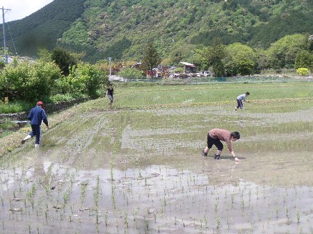 被災地に送るお米プロジェクト (9).JPG