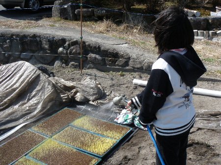 お手伝い (2).JPG