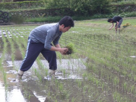 被災地に送るお米プロジェクト (10).JPG
