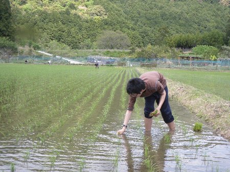 被災地に送るお米プロジェクト (12).JPG