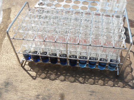 ななほし会 (1).JPG