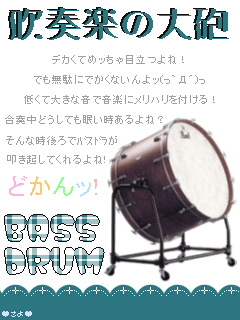 BASS DRUM.jpg