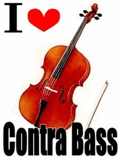 CONTRA BASS.gif