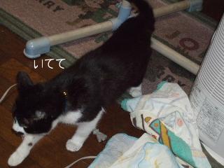 やっぱり落ちた