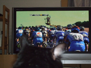 ツールドフランス観戦