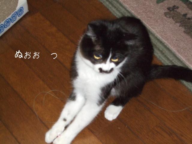 季節はずれのサンタ3