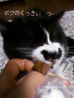 ボクのくっきぃ