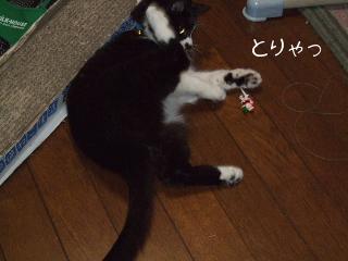 季節はずれのサンタ5