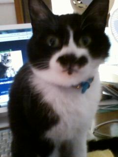 ぼーぜんとするカトちゃん