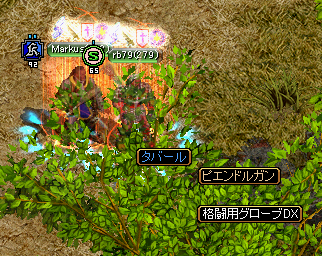 ｒｂさんと狩りとか.PNG