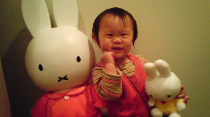 20101028miffy.JPG