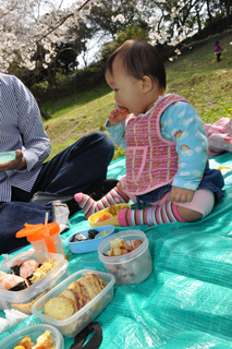 20100322hanami.JPG