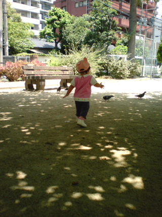 20100611hato.JPG