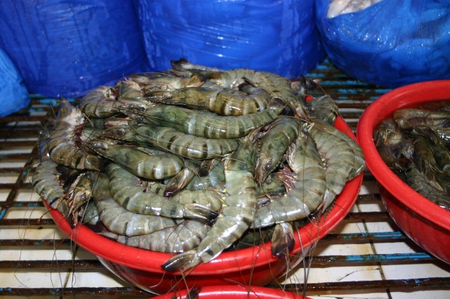 海老