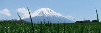 富士山の見える週末