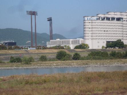 P1080541_R.jpg