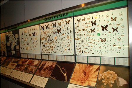 横須賀市自然・人文博物館 ヨコスカの町から 楽天ブログ