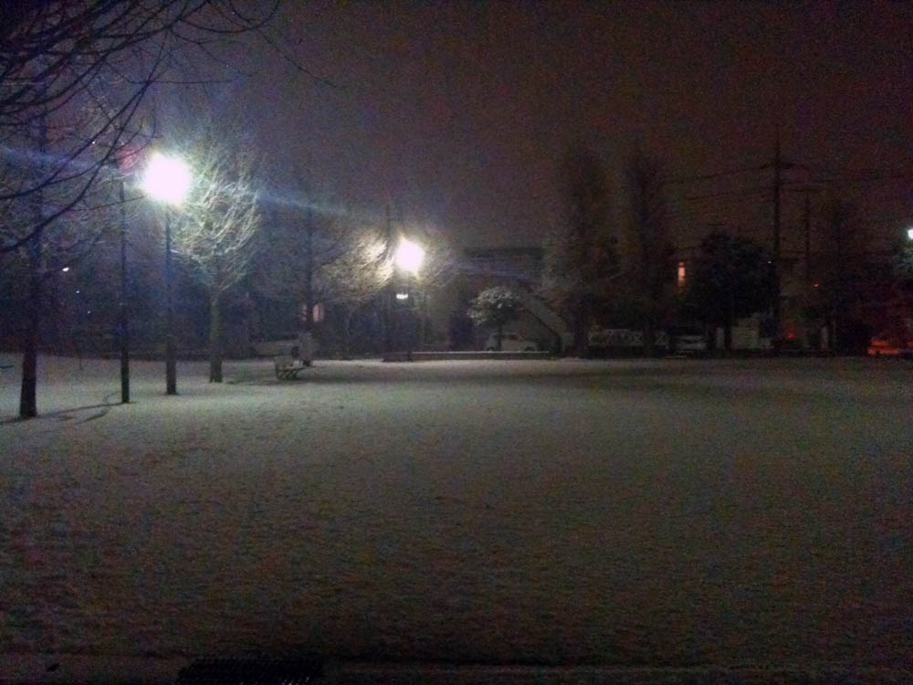 雪の降る夜の公園