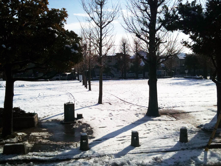 雪の降った朝の公園