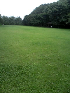 勝山城本丸跡２