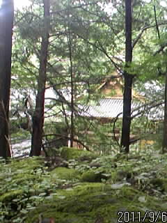 奥社　参道からのながめ