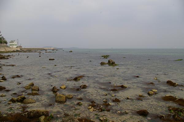 IMGP5474.jpg 25.jpg