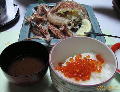 料理(ﾟー､ﾟ)