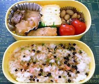 初！！弁当