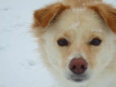 2008_0209kukku0024.jpg