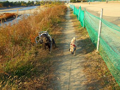 2007_1130kukku0233.jpg