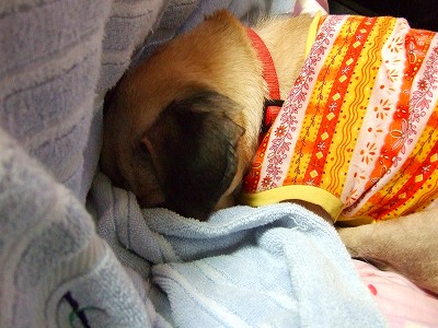 2008_0206kukku0001.jpg