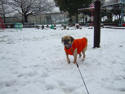2008_0209kukku0030.jpg