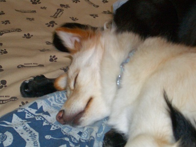 kukku03 165.jpg