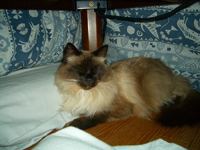 kukku03 168.jpg