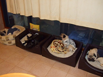 2007_0104kukku0093.jpg