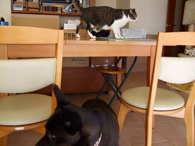 2007_0104kukku0091.jpg
