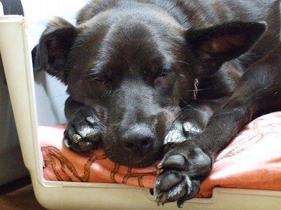 2007_0801kukku0122.jpg
