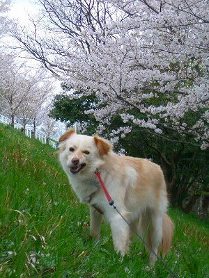 kukku02 063.jpg