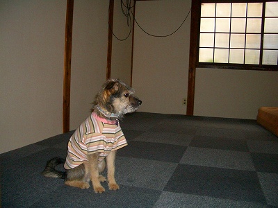 kukku03 150.jpg