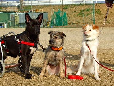 2007_0102kukku0011.jpg
