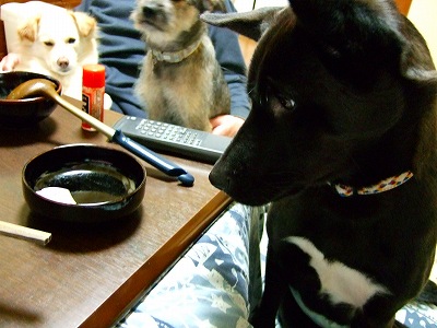 2007_0102kukku0035.jpg