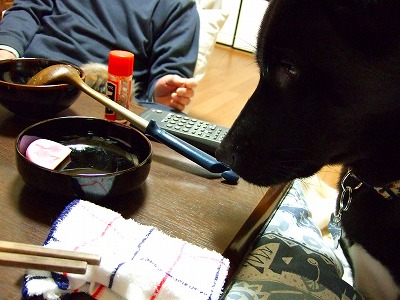 2007_0102kukku0036.jpg