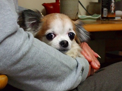 2007_0102kukku0039.jpg