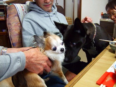 2007_0102kukku0041.jpg