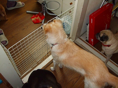 2007_1021kukku0006.jpg