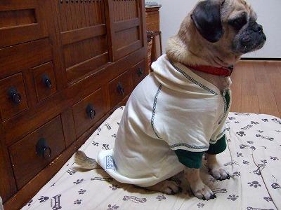 2008_0119kukku0110.jpg